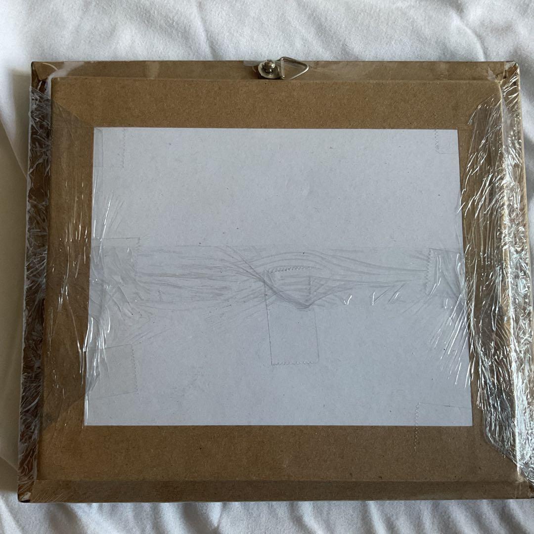 ニシキオオツバメガ 標本　世界で一番美しい鱗翅類