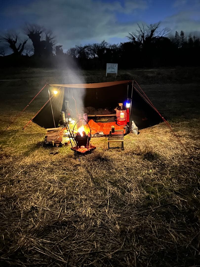 ジベタリアン　蝦夷幕　希少　黒