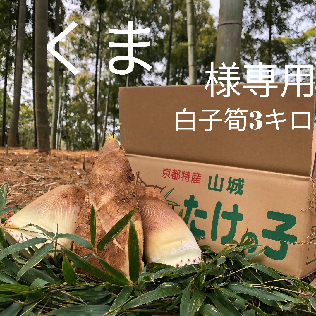 くま　白子筍3キロ