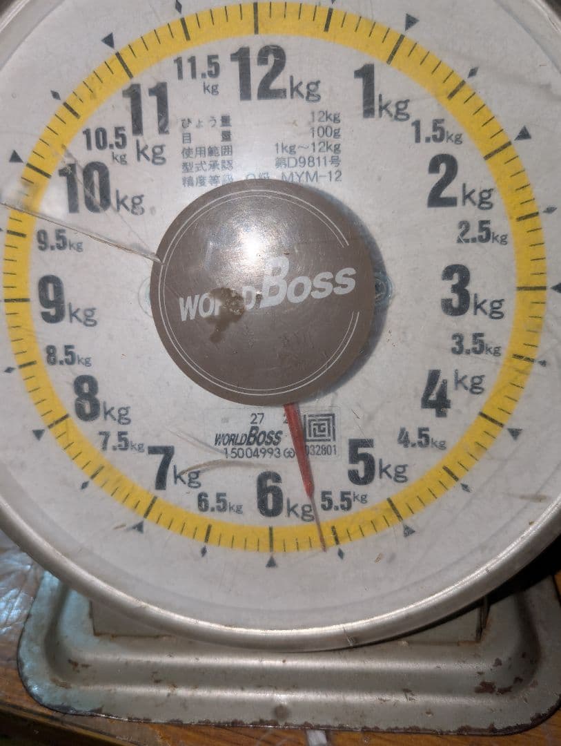 山梨県産ぶどう　シャインマスカット　10房入り　箱込み約5.6kg