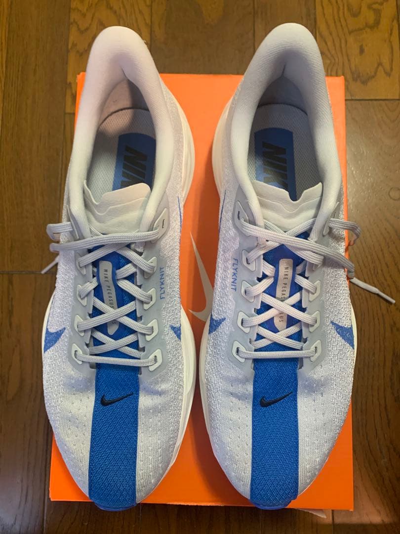 【最終値下済】NIKE ナイキ ペガサスプラス 29cm