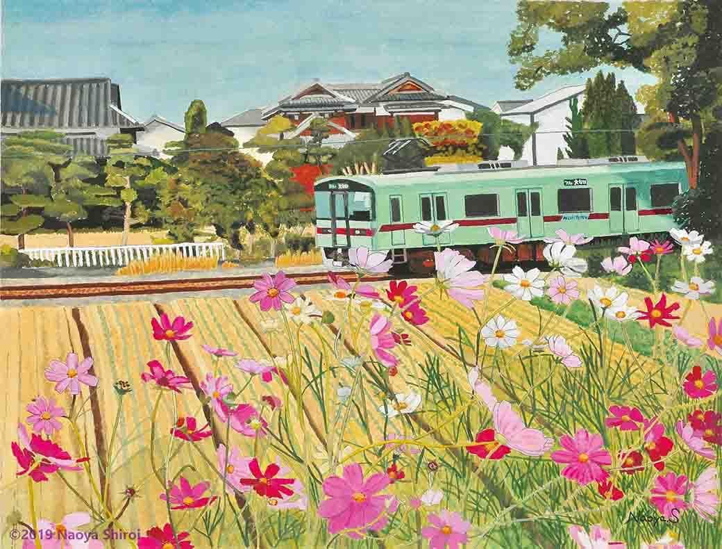 水彩画　ジクレー版画「西鉄電車とコスモス」（久留米市）