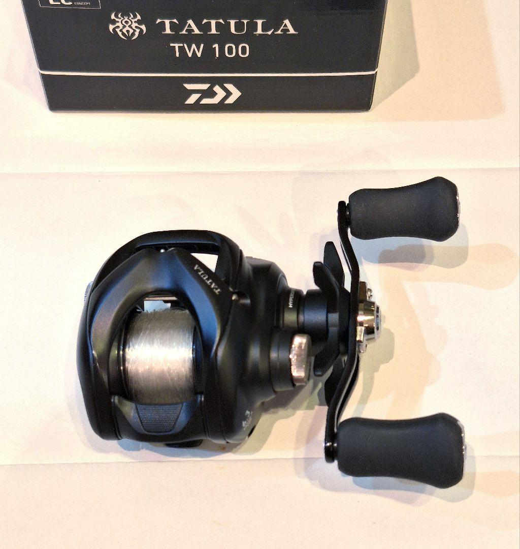 ダイワ タトゥーラ TW 100 ベイトリール