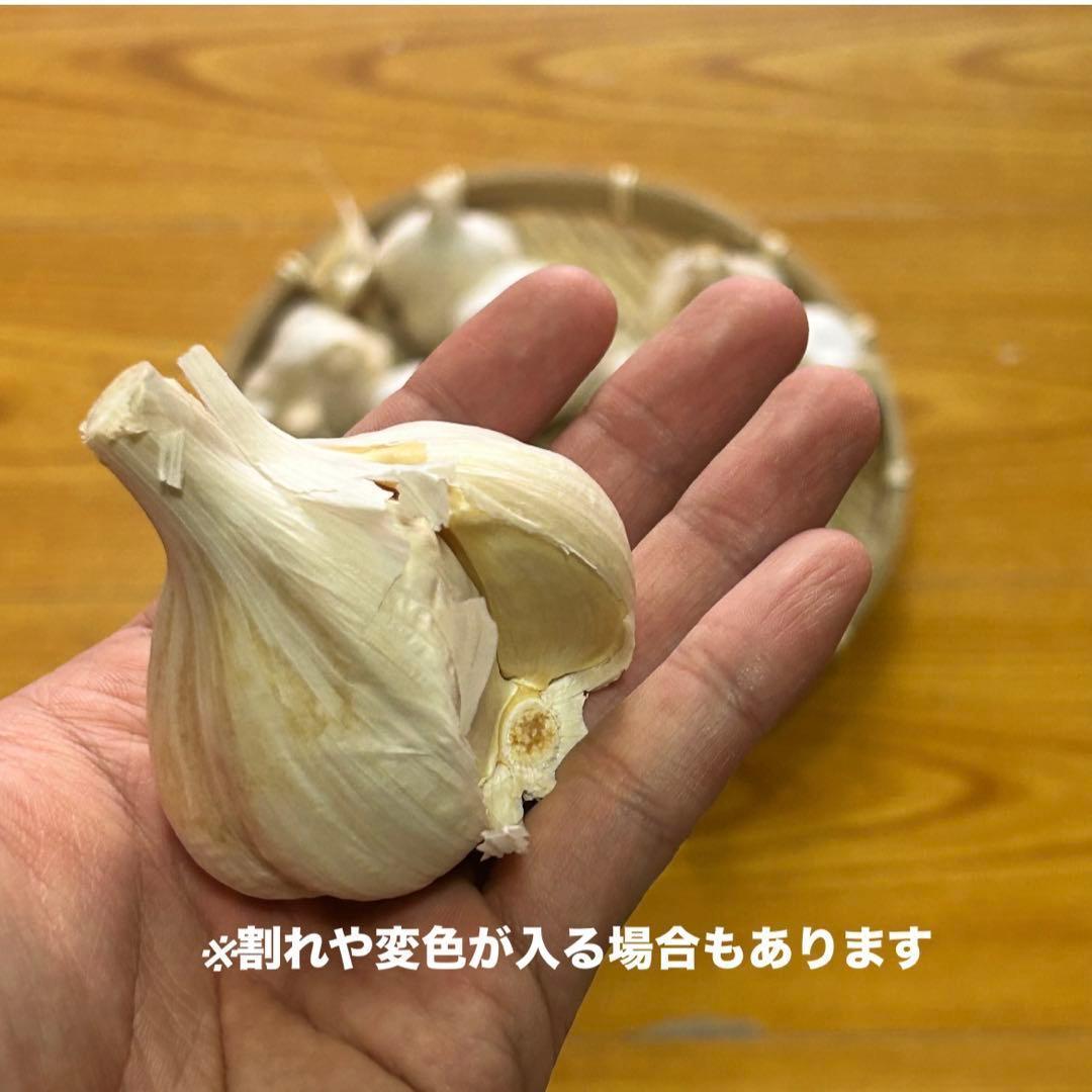 【お買い得セール】青森県 福地ホワイト にんにく M 4kg 　黒にんにく加工