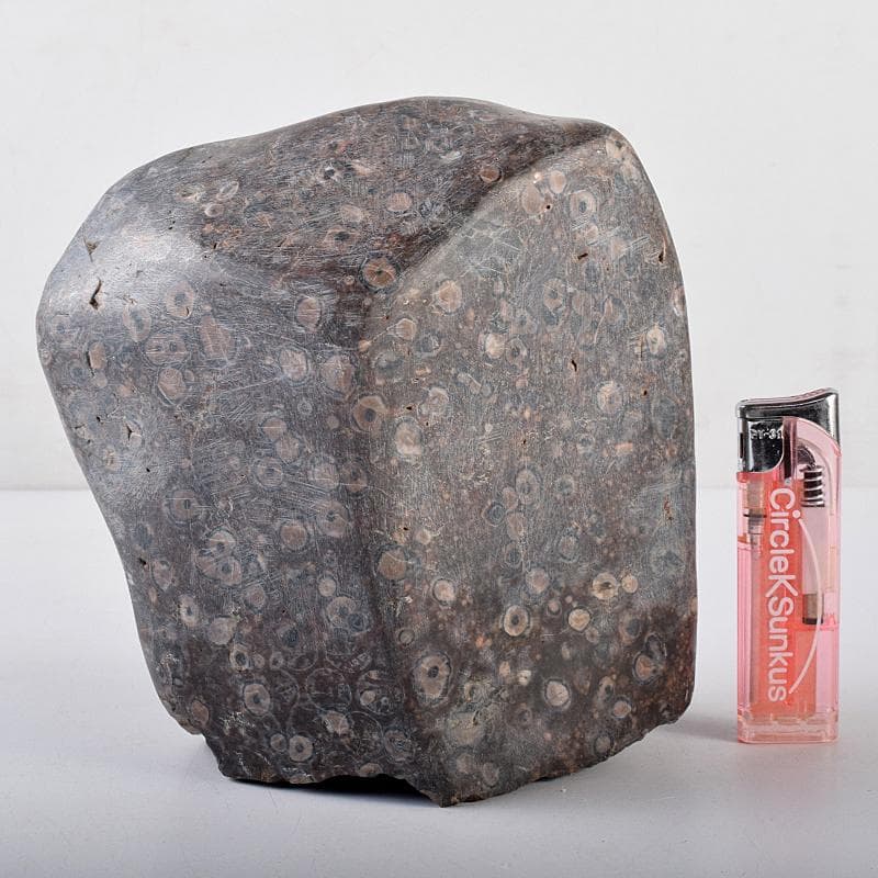 天然石　鑑賞石　梅花石　置物　重さ約2222g　V　R8610