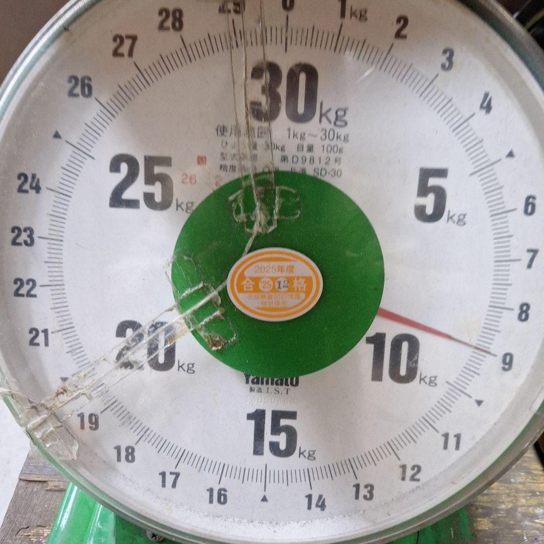 はるかみかん 2L～3L　８キロ×2箱