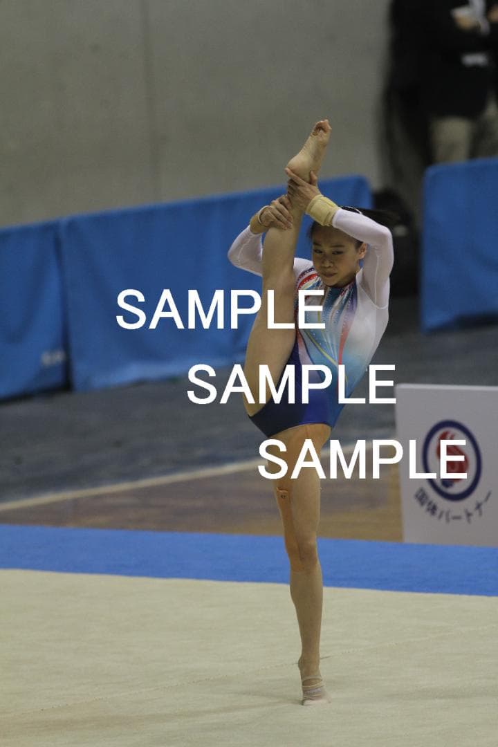 【ハーレイクイン】杉原愛子 画像集(2015～2019年) 約9000枚