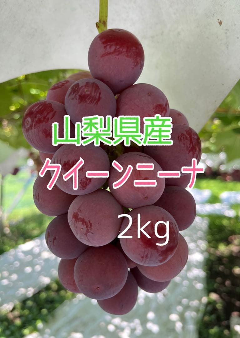 おいもちゃん出品クイーンニーナ 2kgとシャインマスカット2kg
