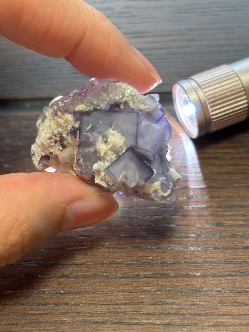 ポーセリン フローライト