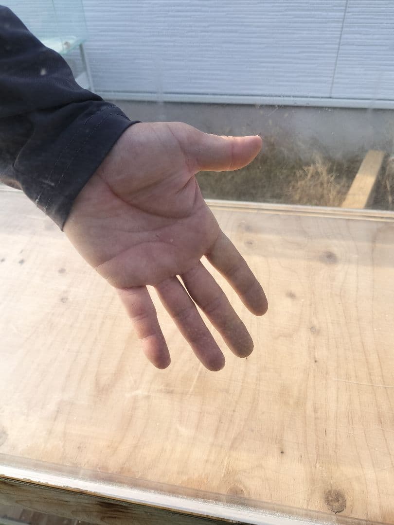 中古大型アクリルオーバーフロー水槽セット