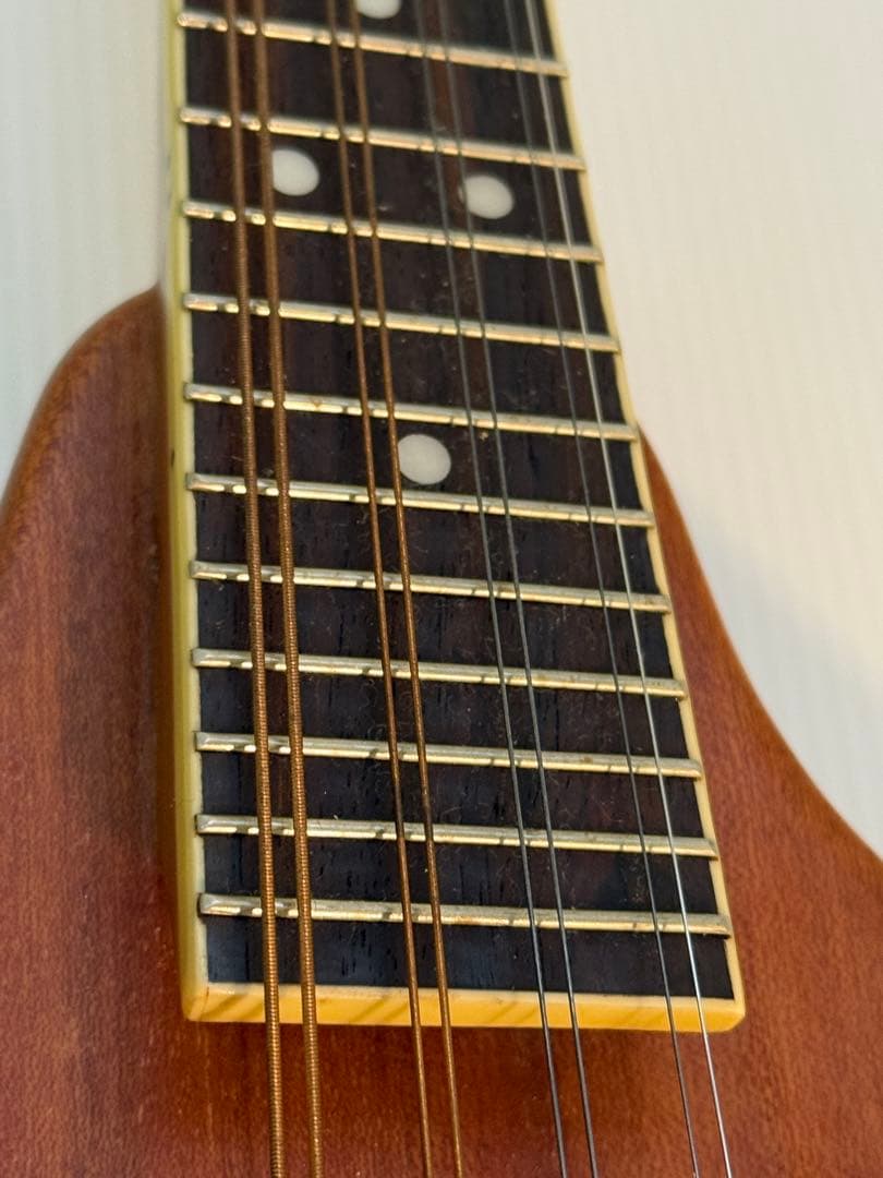 フラットマンドリンBeanBlossom By Morgan Monroe