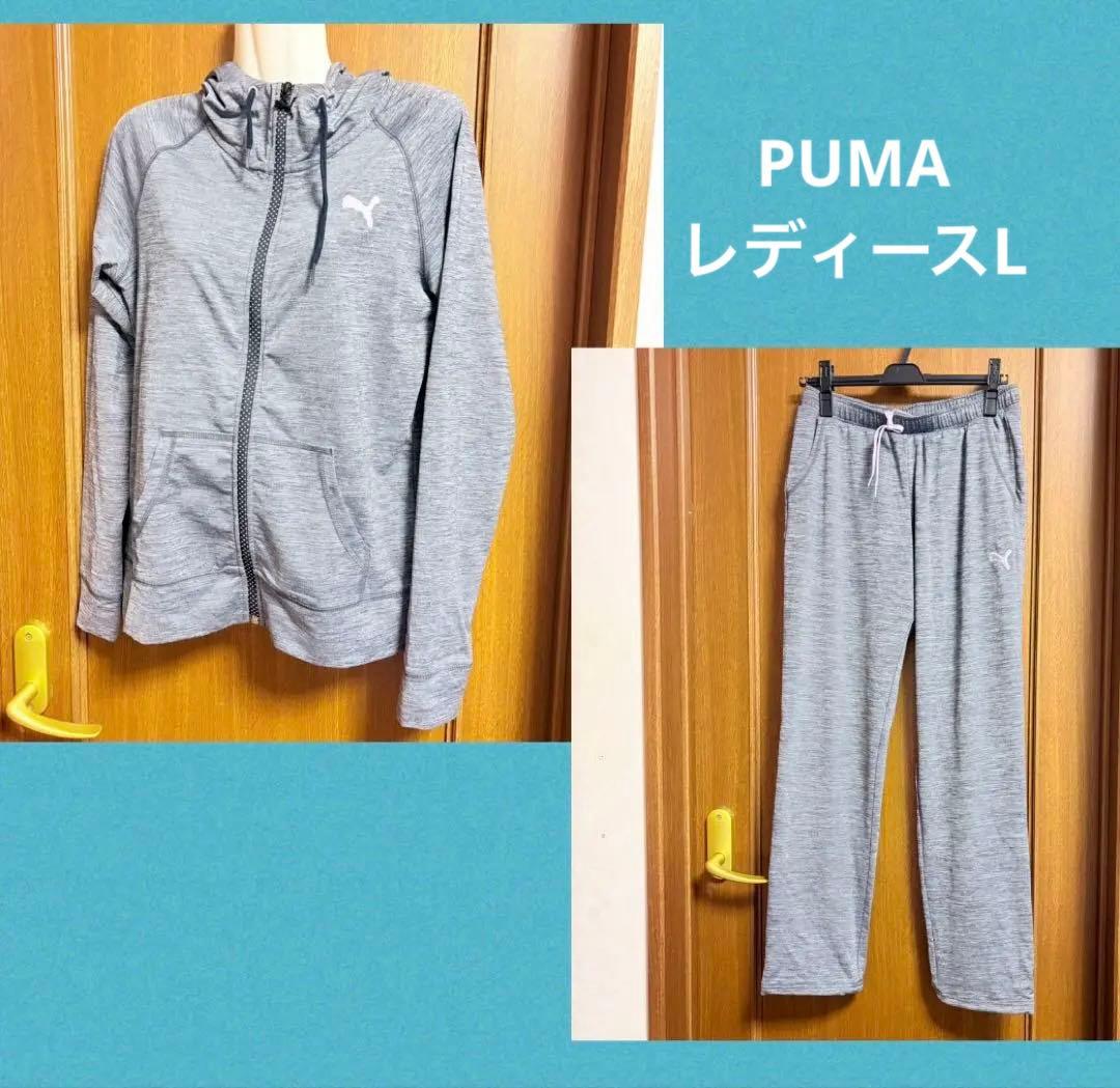 プーマ PUMA ジャージ上下セット　グレー　レディースL