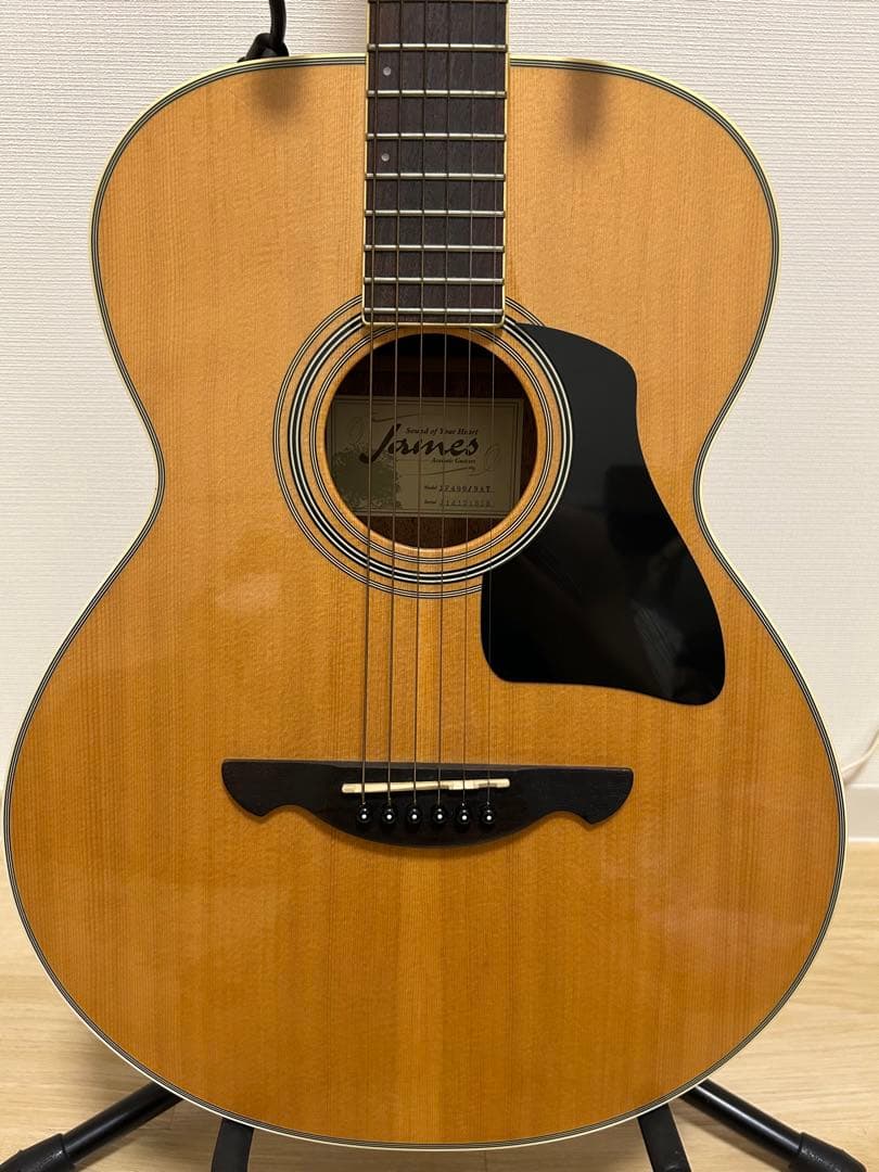 James JF400 アコースティックギター