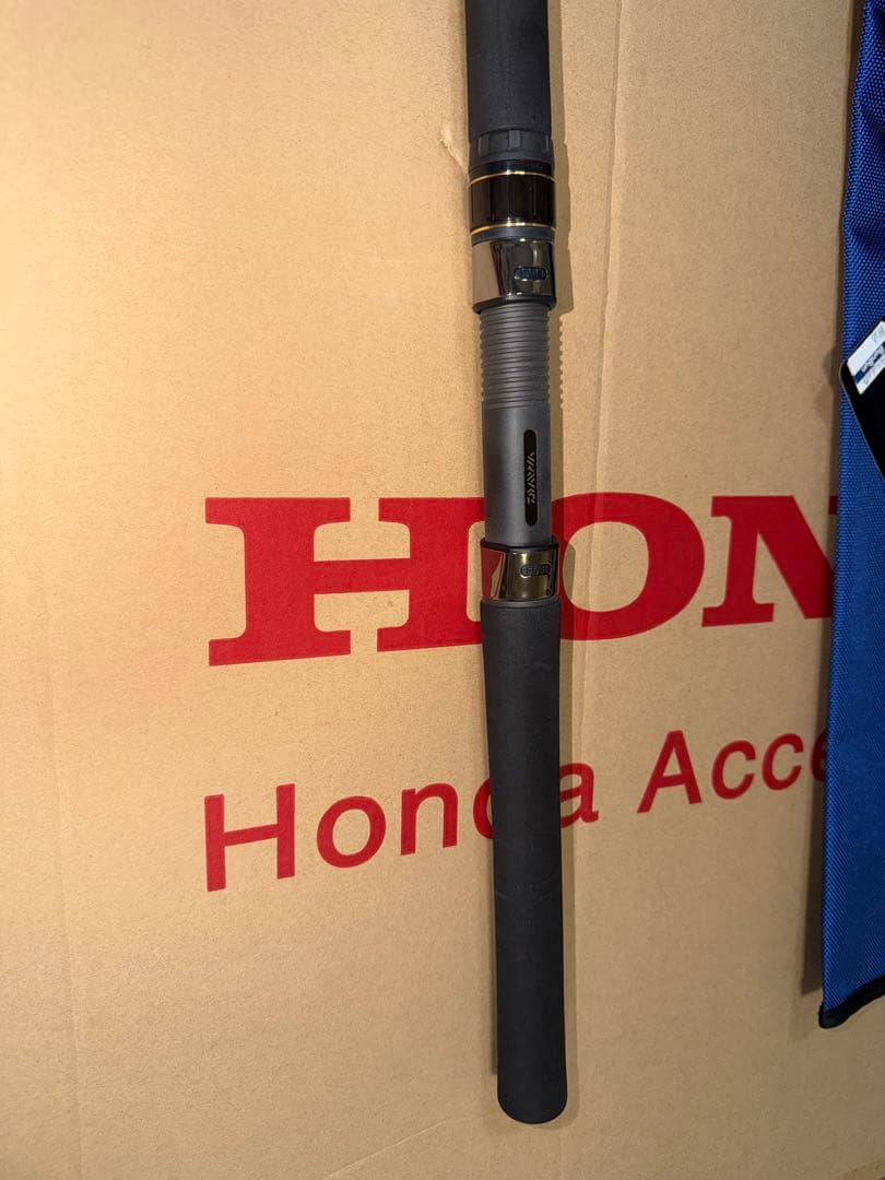 ダイワ ソルティガ 81-5