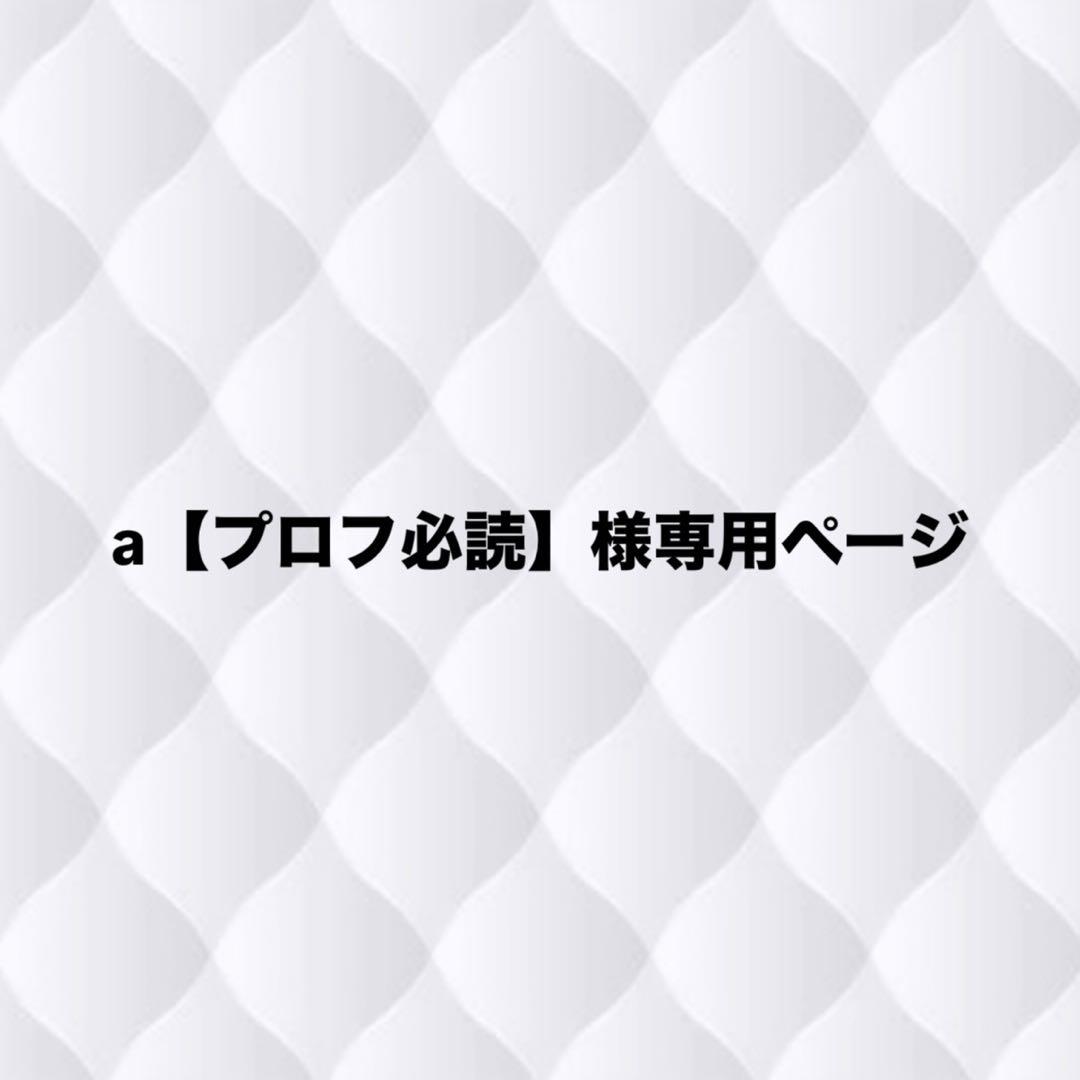 a【プロフ必読】ページ