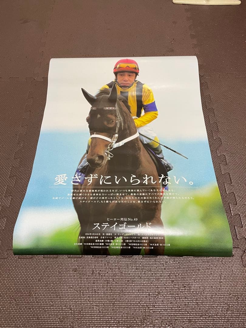 jra ヒーロー列伝　ステイゴールド　B2