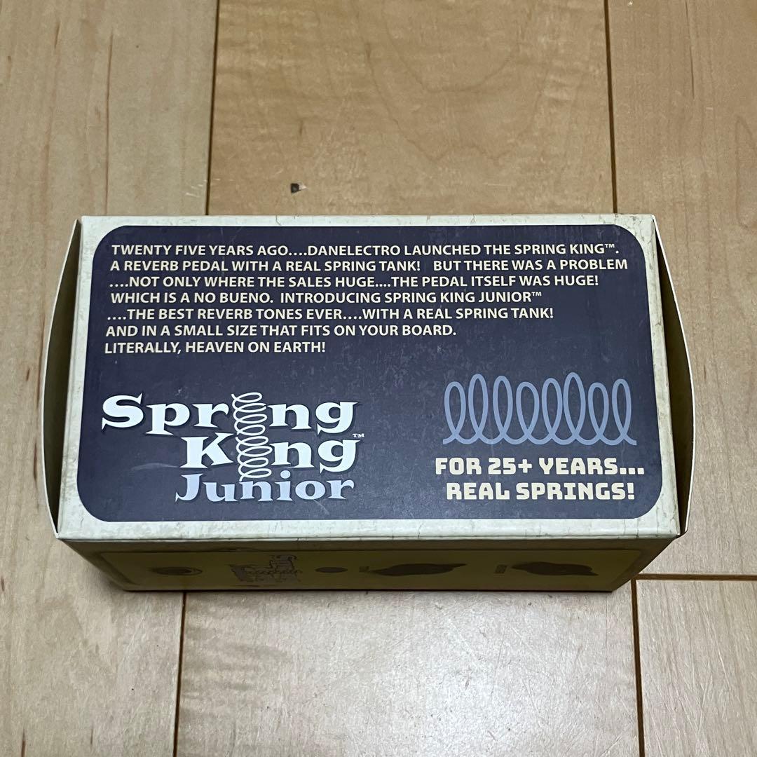 ギター Danelectro/SKJ-1 Spring King Junior