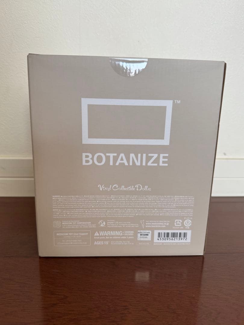 BOTANIZE VCD Euphorbia obesa 2個セット