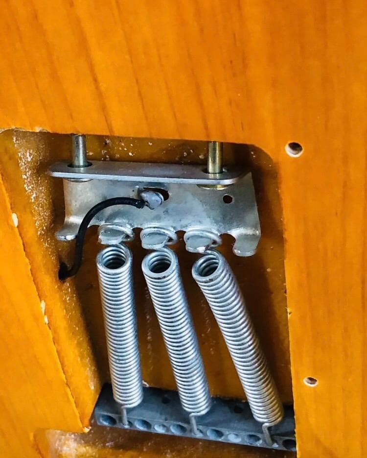 Bacchus BST-1R 3TS ストラトタイプ サンバースト ソフトケース