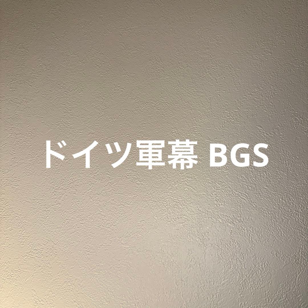 ドイツ軍幕 BGS 国境警備隊 希少スワンプカモ 4枚