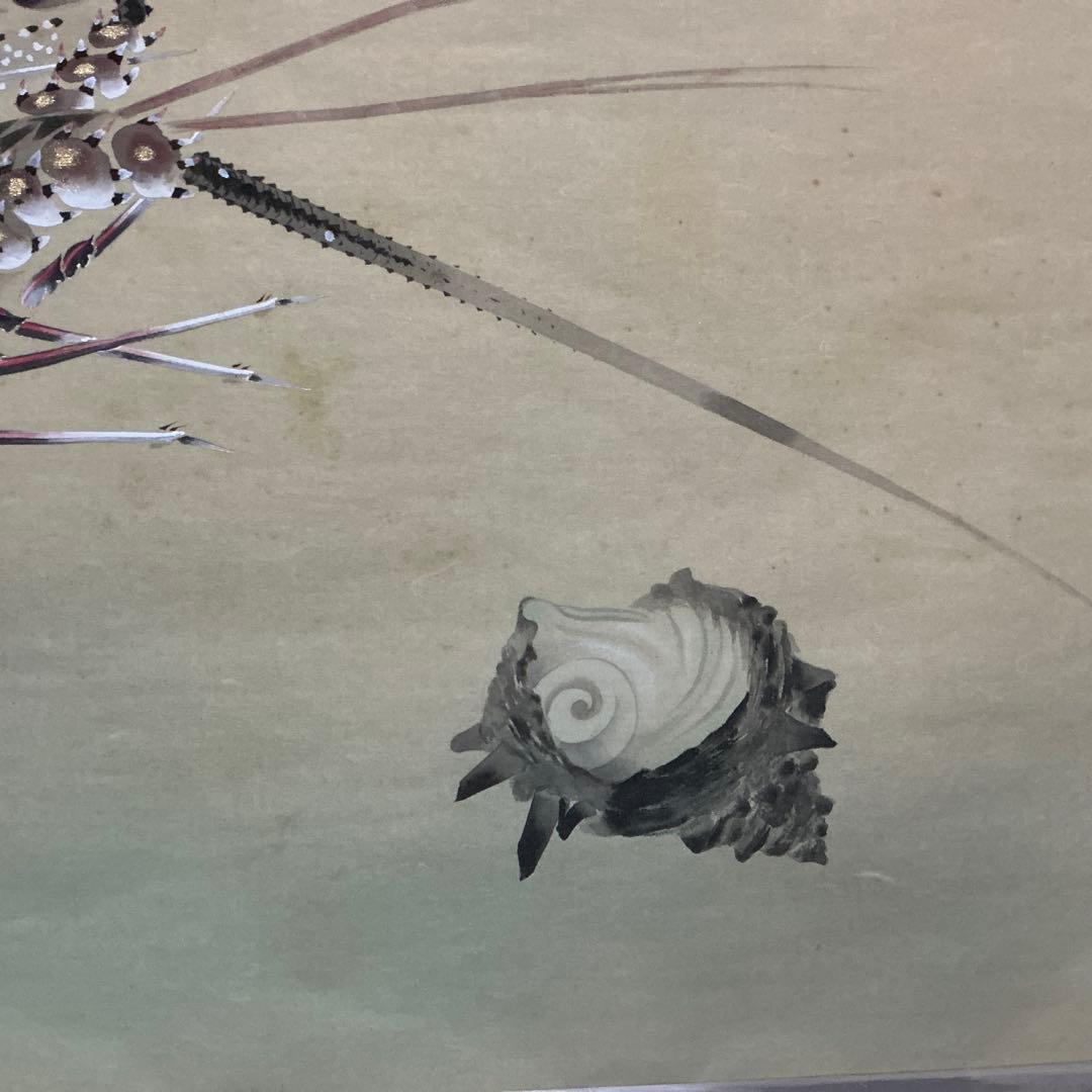 水野珠洗　「伊勢海老とサザエ」　『明治~大正期 にかけて活躍した日本画家です』