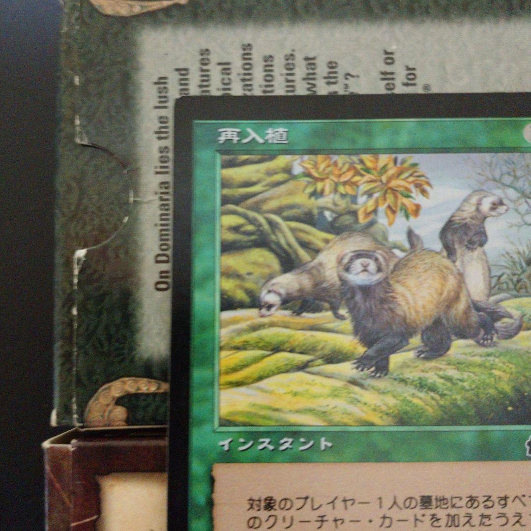 MGT 再入植 日本語 インスタント Foilカード キラ 箔押し プレミアム