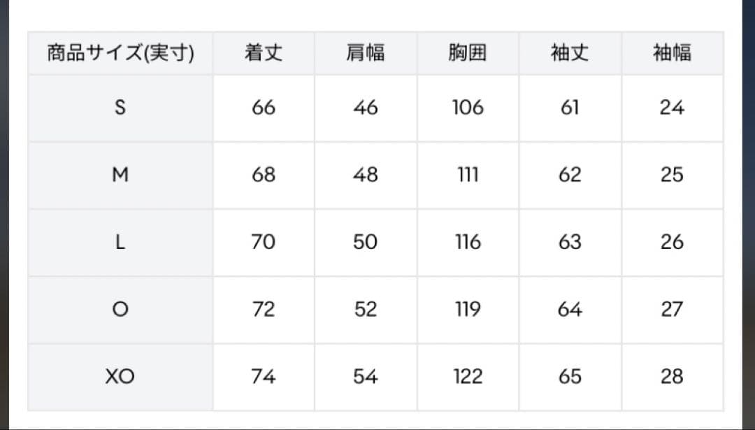 未使用⭐️THE THIRD by UMBROアノラックピステトップ アンブロ