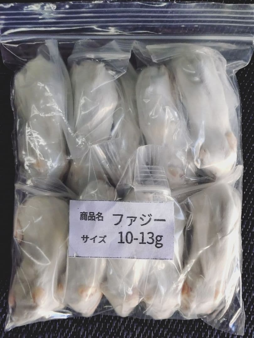 送料無料 冷凍マウスファジー100匹