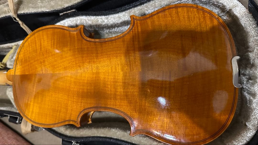 Roderich Paesold【バイオリンセット】 PA801J 1/4