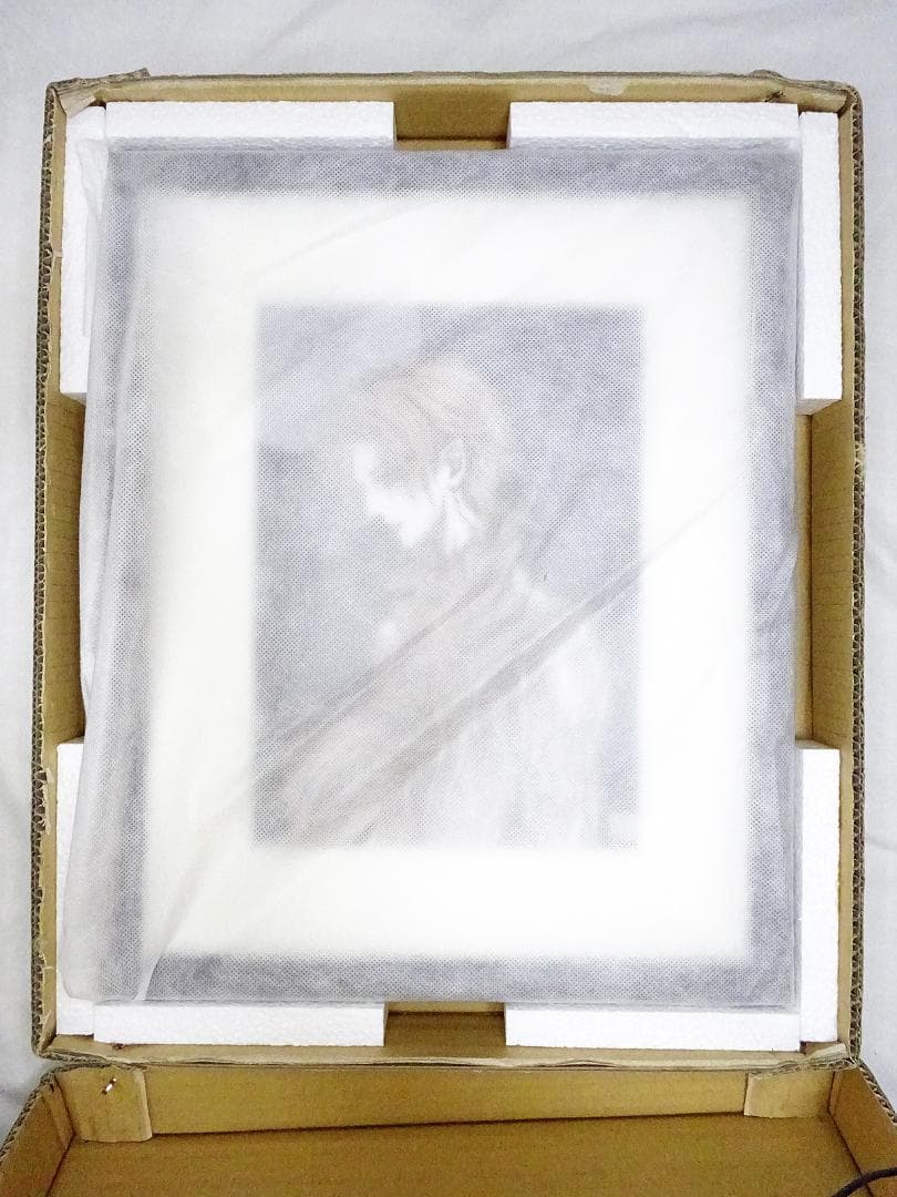 #希少 #レア #天野弓彦 #オーダー原画 # #サイン入 #保証書 #共箱