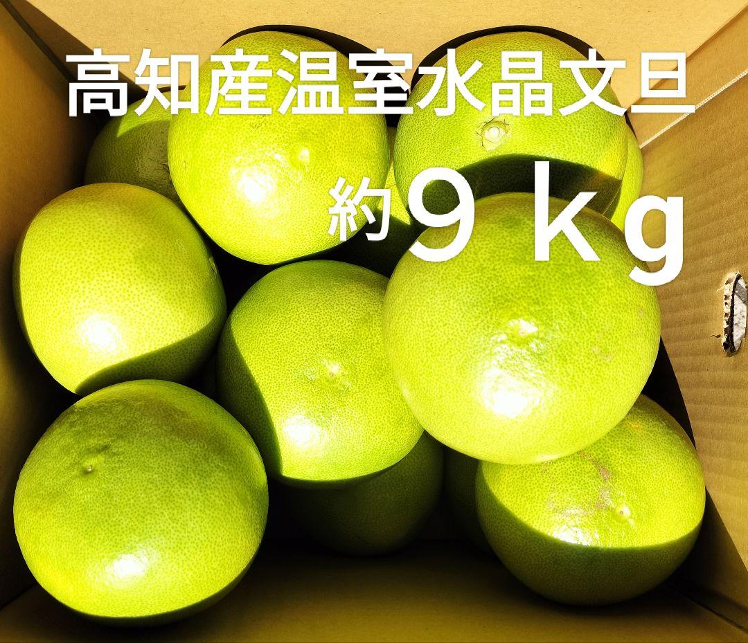 高知産　温室大玉水晶文旦　２８～14玉前後　約９,5ｋｇ　北海道沖縄発送不可