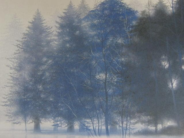 千住博、【水の森】、希少な額装用画集より、新品額装付、状態良好