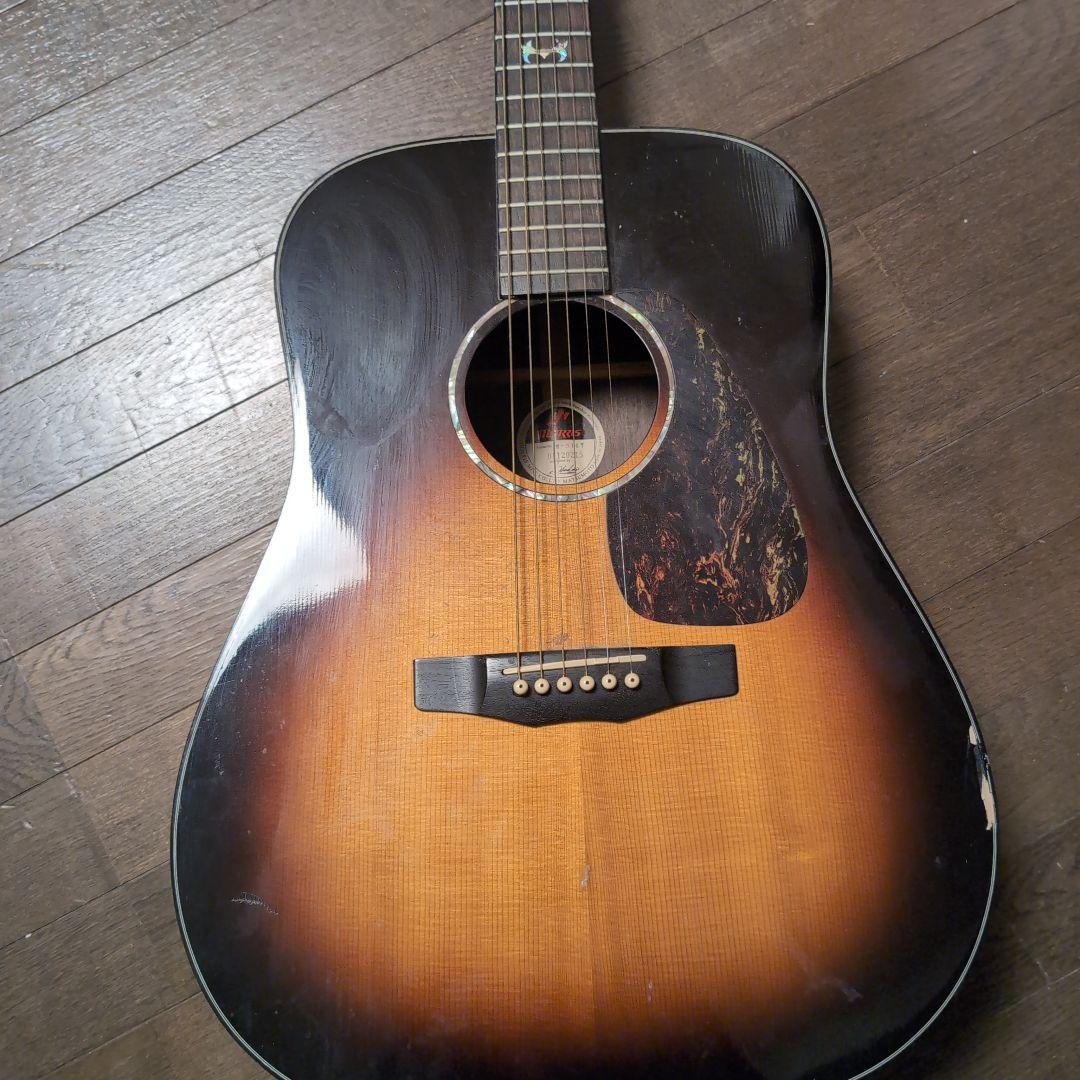 Morris エレアコ アコースティックギター M-51GT