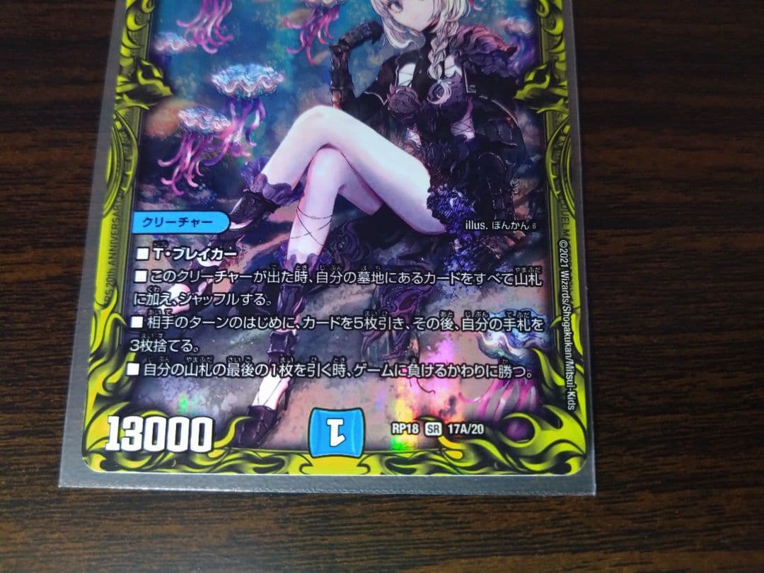 シャコガイル　a 2枚