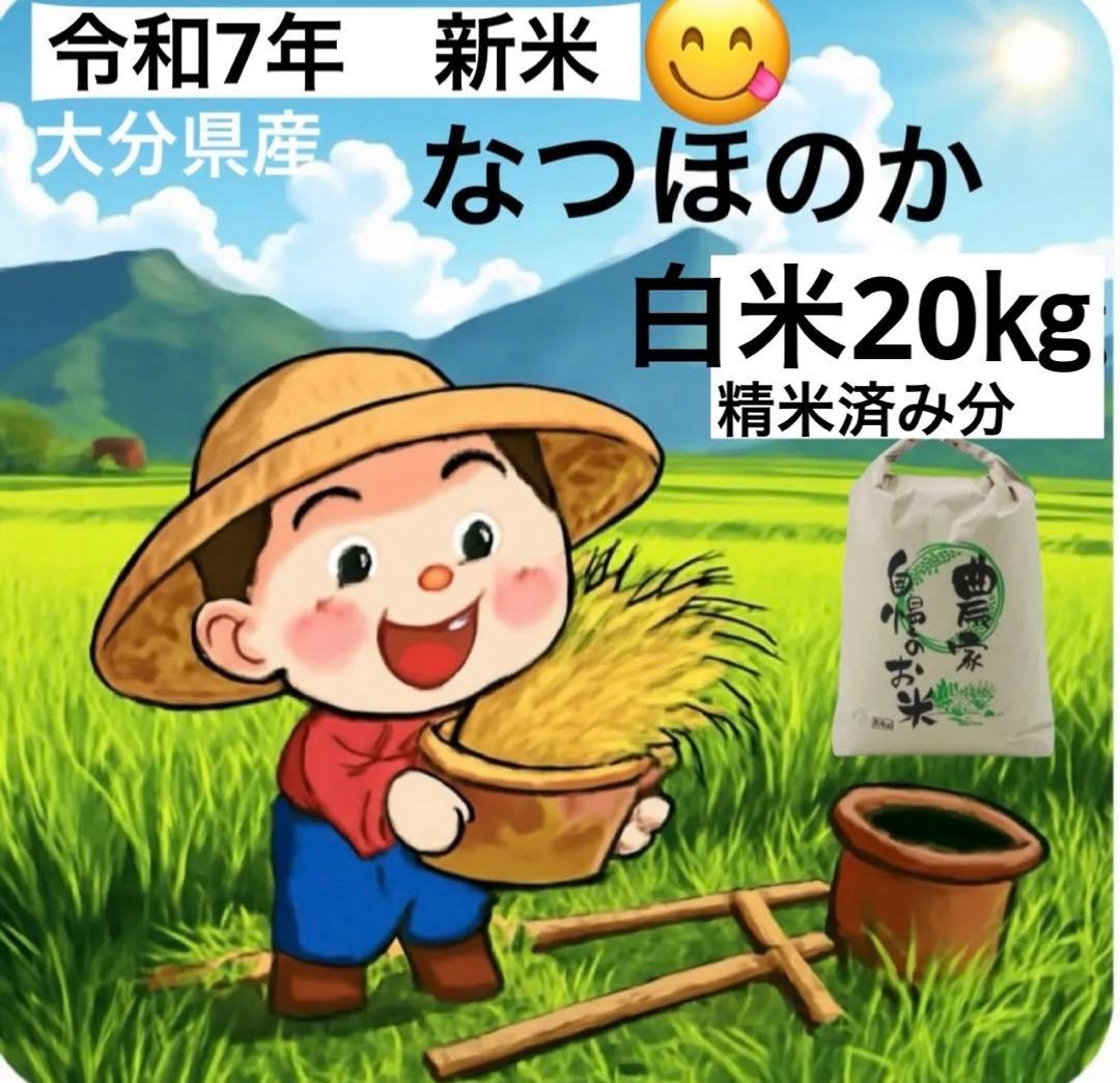 令和7年　新米　大分県産なつほのか　白米20㎏キロ　精米済み分　お米こめ