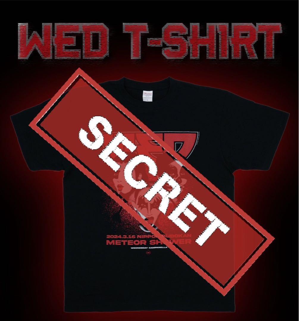 ◆限定品◆【未開封】【新品、未使用】水曜日のカンパネラ　シークレットTシャツ