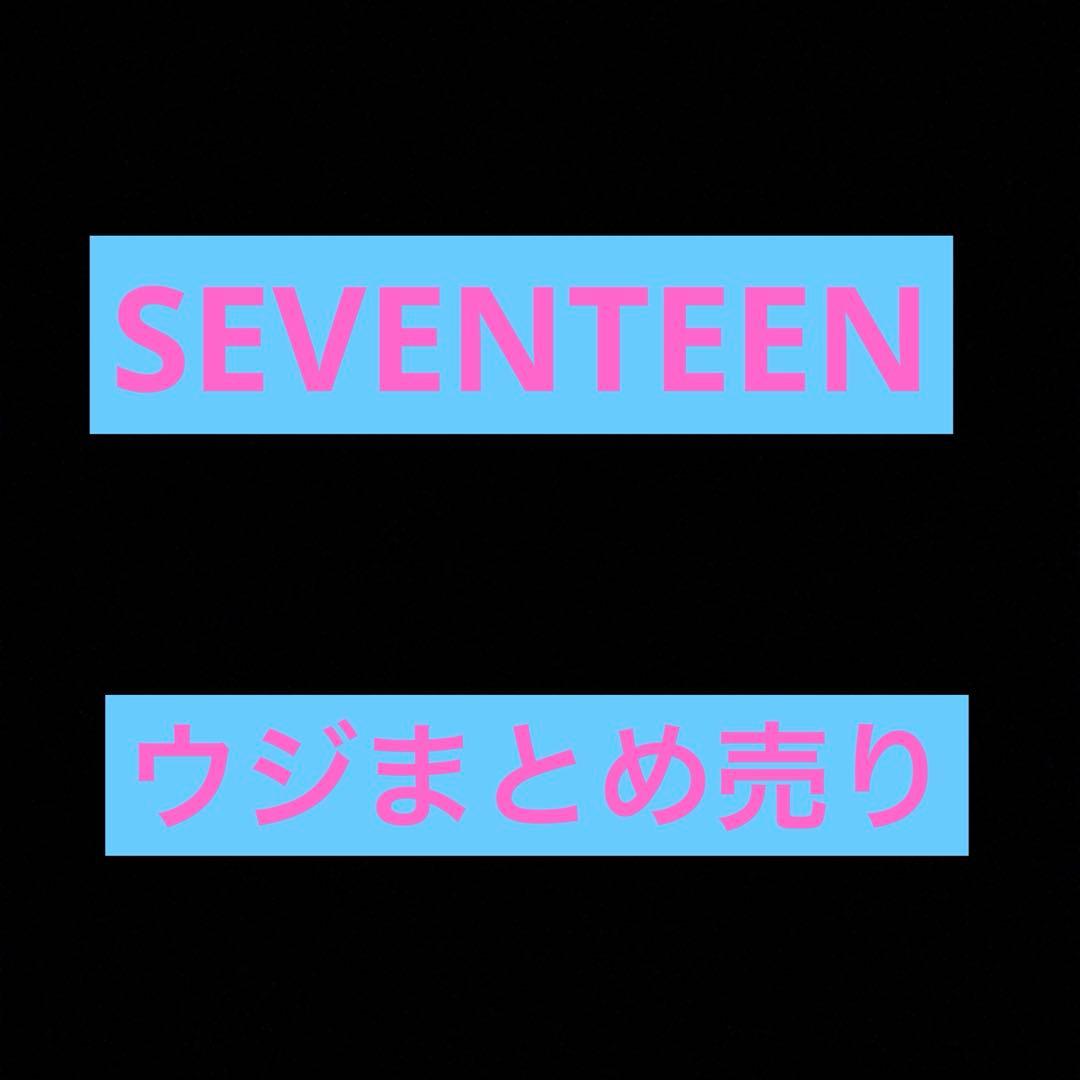 SEVENTEEN ウジまとめ売り
