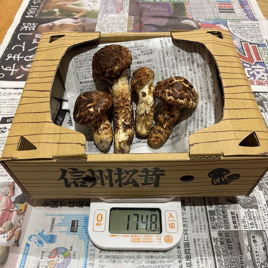 長野県産松茸 国産　4個 174.8g 新鮮　①