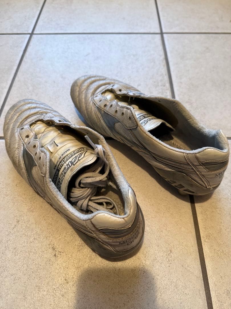 モレリアDNA 26㎝