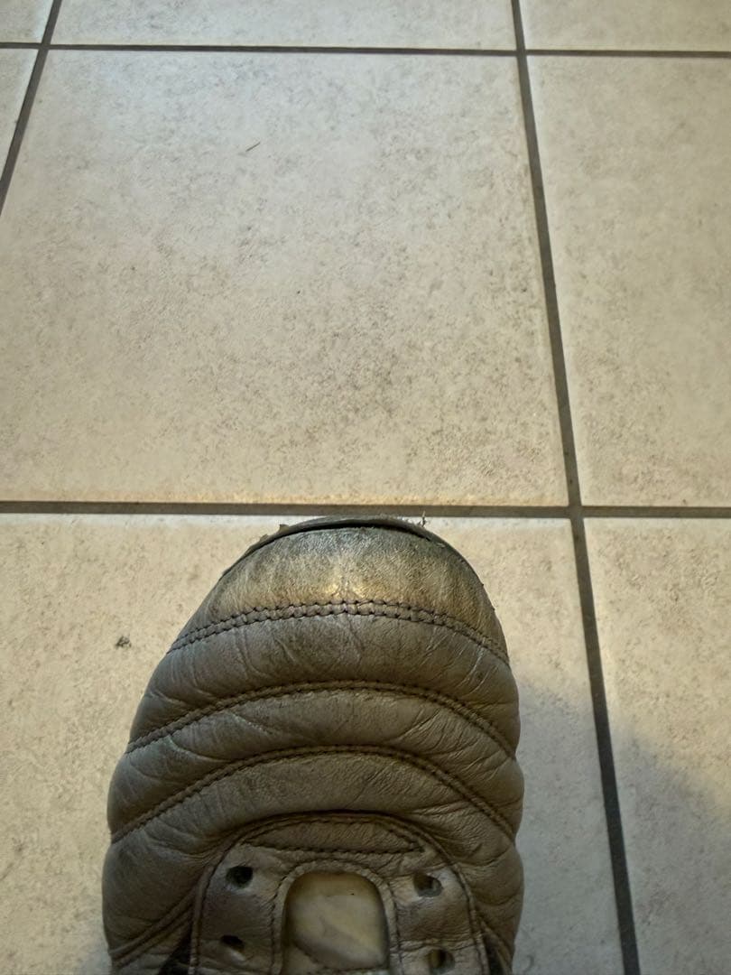 モレリアDNA 26㎝