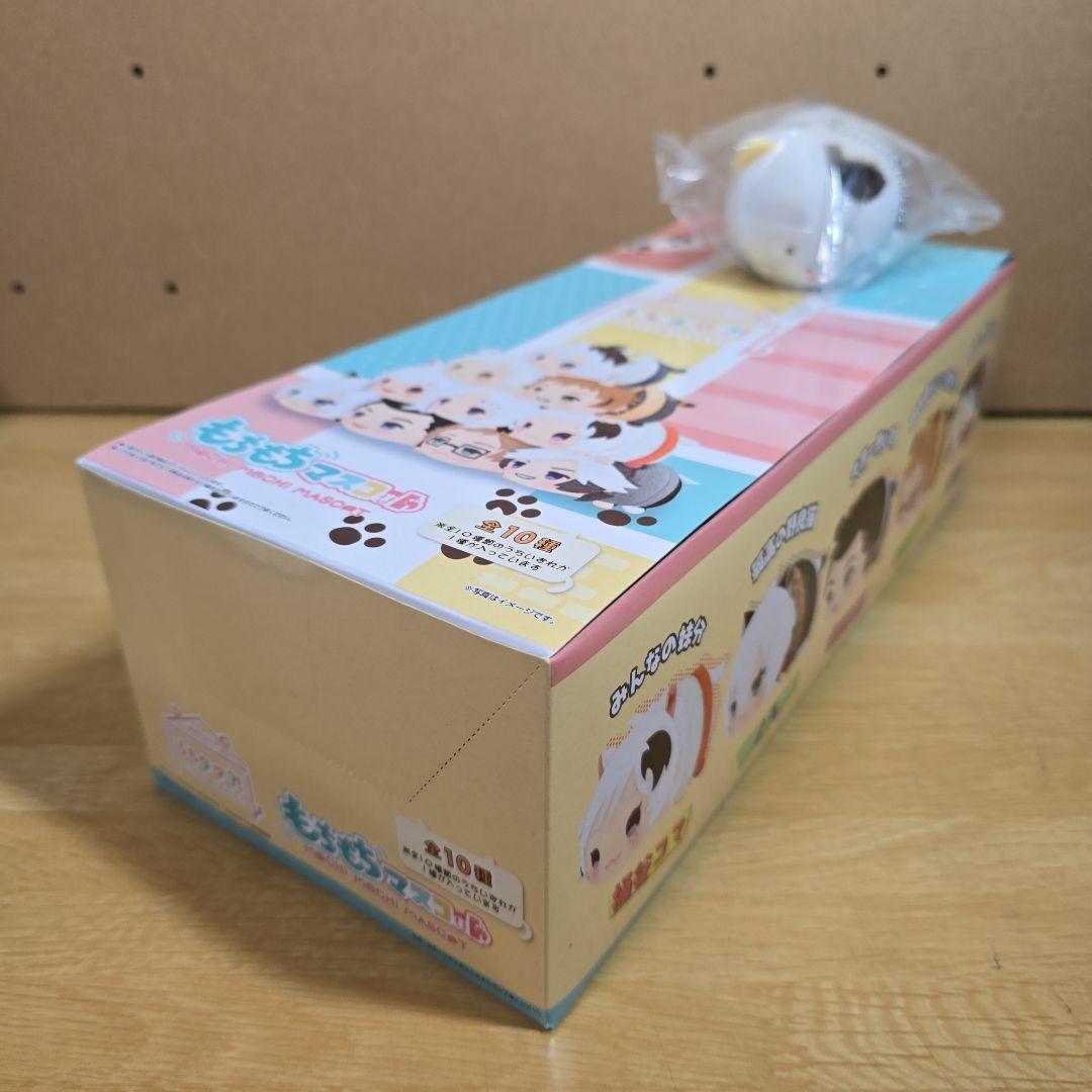 予約特典付き うちタマ?! もちもちマスコットぬいぐるみ ボックスセット