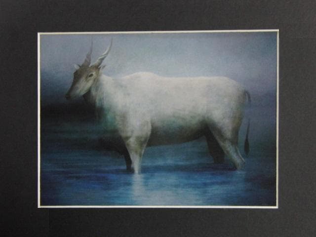 堀晃、【たたずむ刻】、希少な画集画、新品高級額・額装付、状態良好