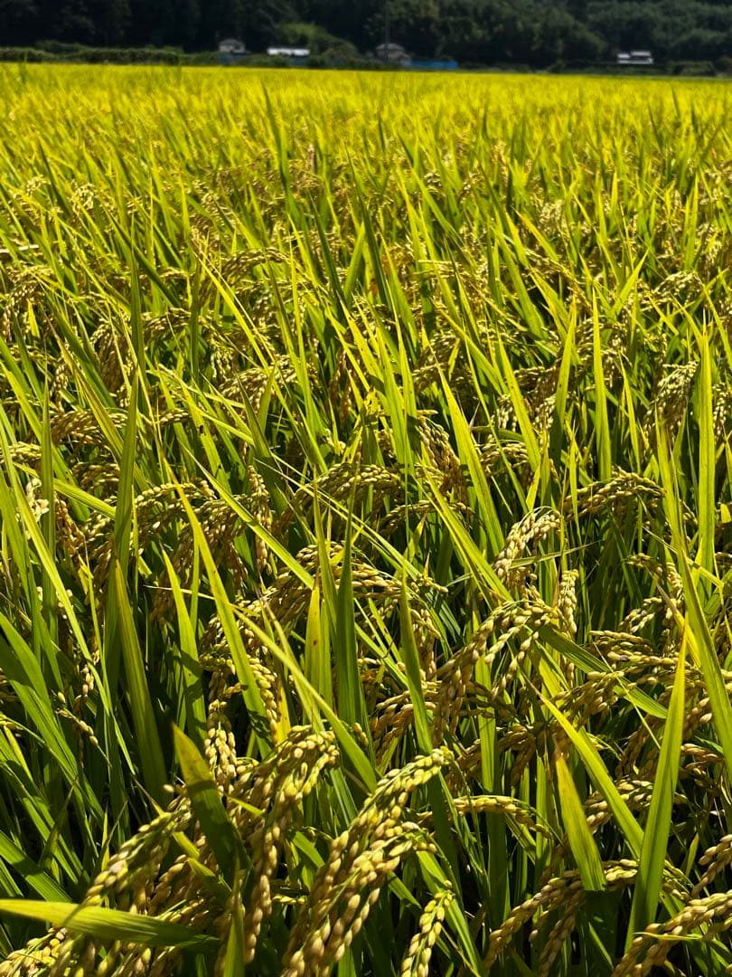 レッグプレス一式