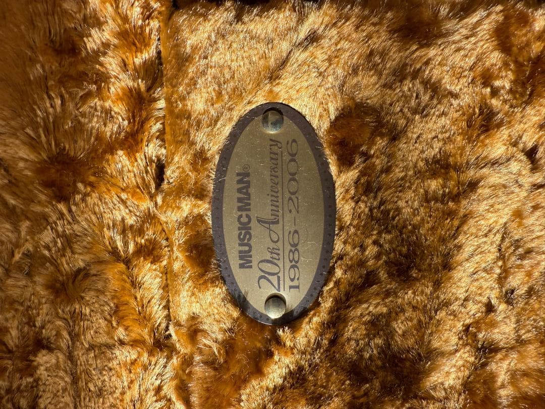 Ernie Ball Music Man Silhouette エレキギタ