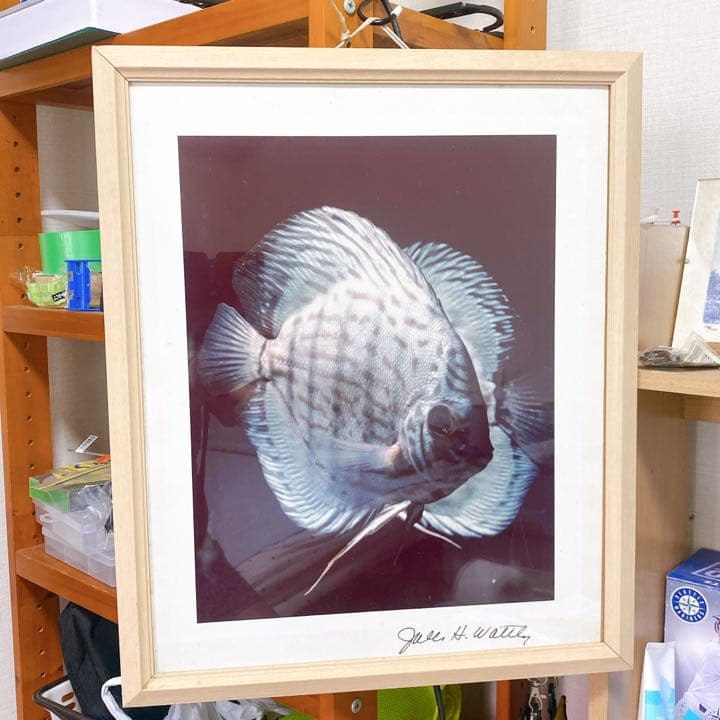 ジャック・ワットレー直筆サイン付き　ディスカス生写真フォトフレーム