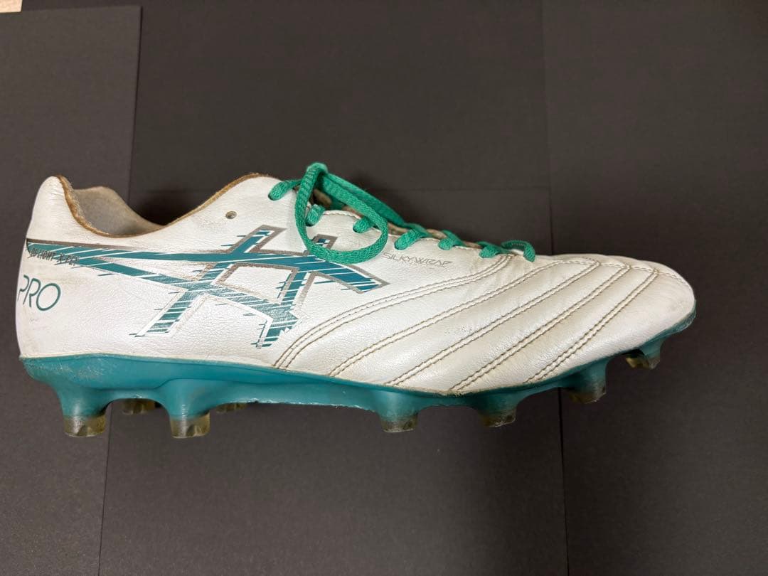 【値下げ】DS LIGHT X-FLY PRO 3 ゼログライドシューレース付