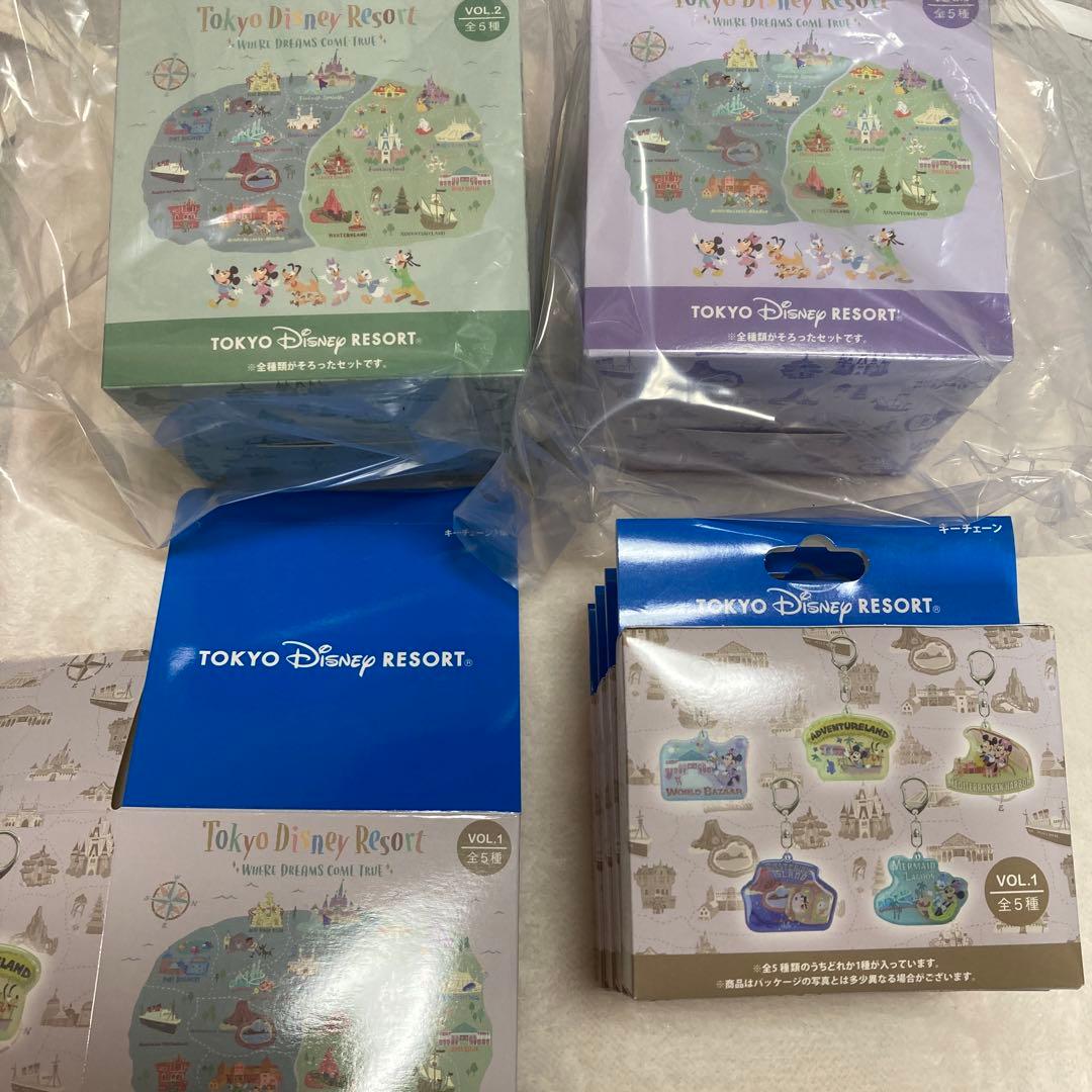 ディズニーリゾート　キーチェーン　ウェアドリームズカムトゥルー