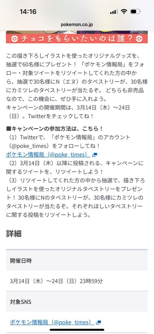ポケモン N タペストリー バレンタイン ホワイトデー