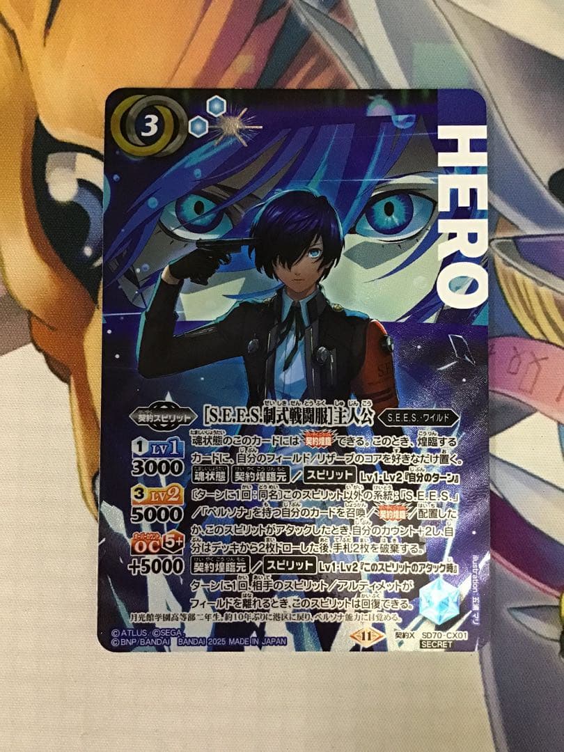 【S.E.E.S.制式戦闘服】主人公　シークレット