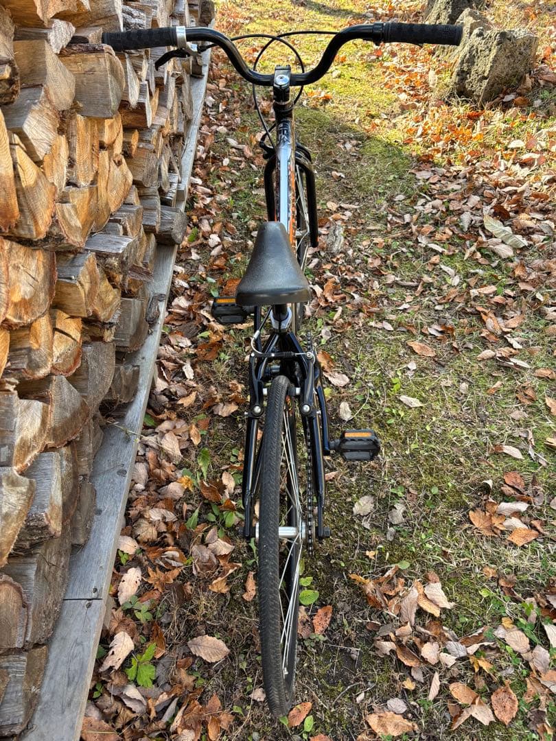 【山梨県引き渡し】マングース title junior 20インチ ブラック